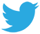 Twitter Advertising Services - Lignite Media