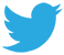 Twitter Advertising Services